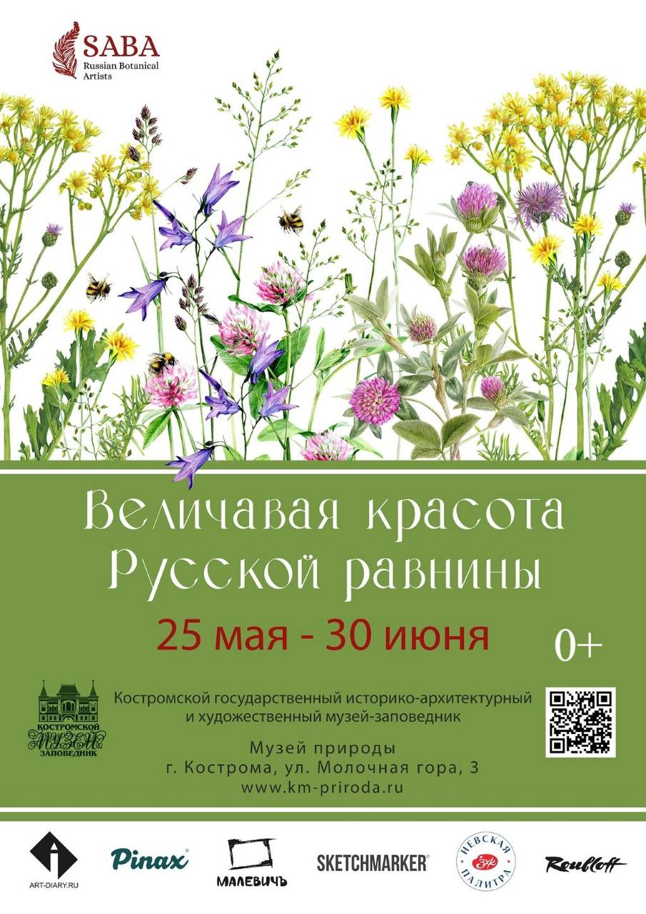 Выставка «Величавая красота Русской равнины»