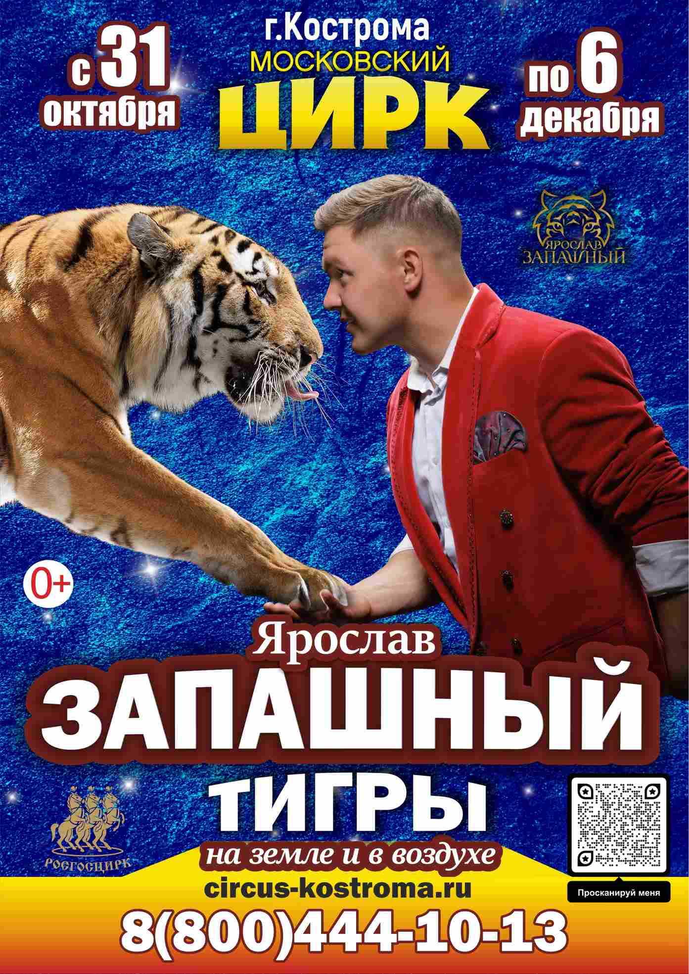 Цирковое представление «Тигры на земле и в воздухе»