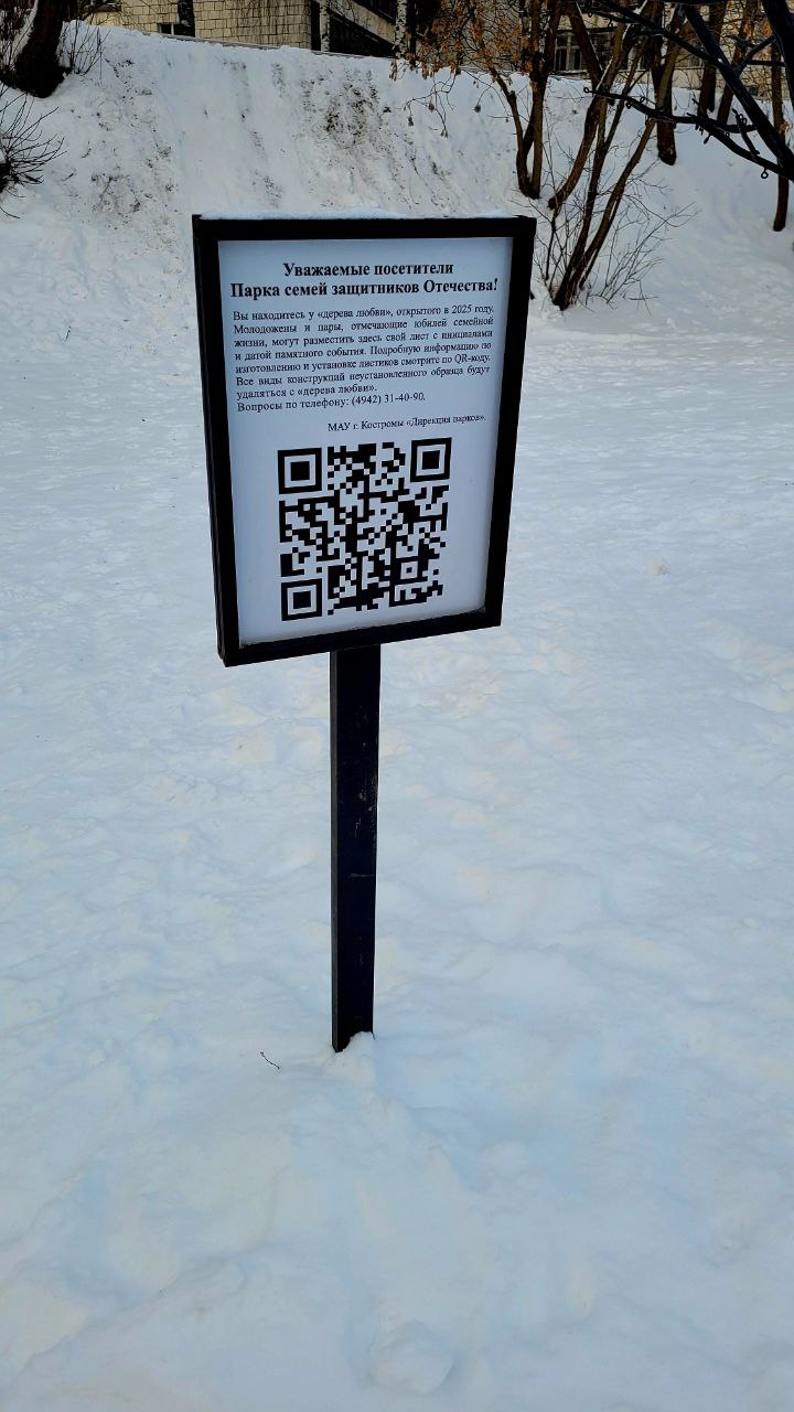 Дерево любви