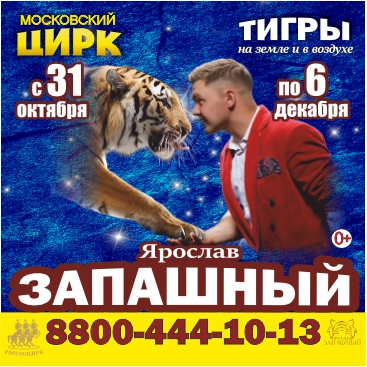 Цирковое представление «Тигры на земле и в воздухе»
